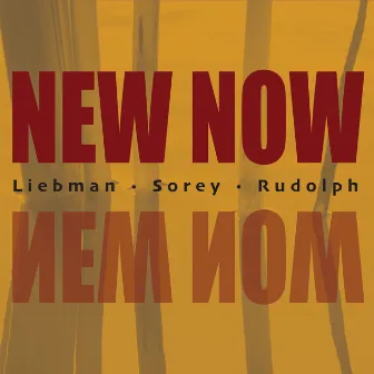 New Now by Adam Rudolph