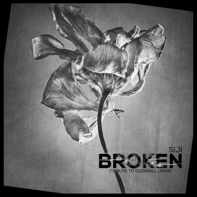 Broken (Tribute to Godswill Ubani)