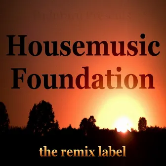 Housemusic Foundation (Organic Deephouse Meets Inspiring Proghouse Best Tunes Compilation in Key-F Plus the Paduraru Megamix Here) by Unknown Artist