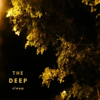 The Deep Sleep by Jens Larsson