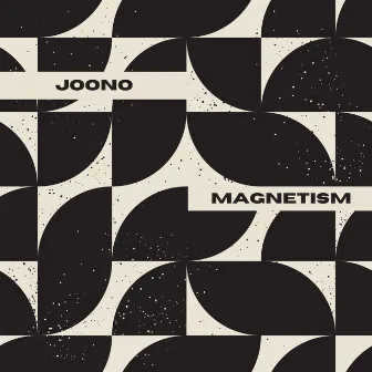 Magnetism by Joono