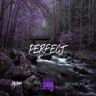 Perfect by MoeBanz