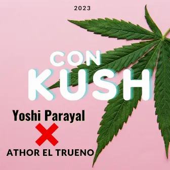 Con Kush by Yoshi parayal