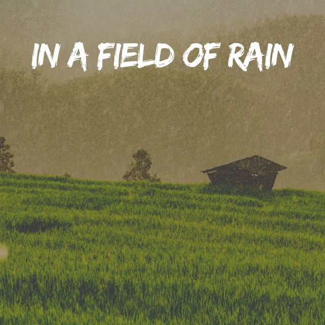 In a Field of Rain, Pt. 8