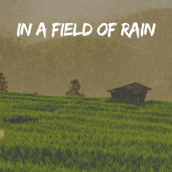 In a Field of Rain by Light Rain Sounds