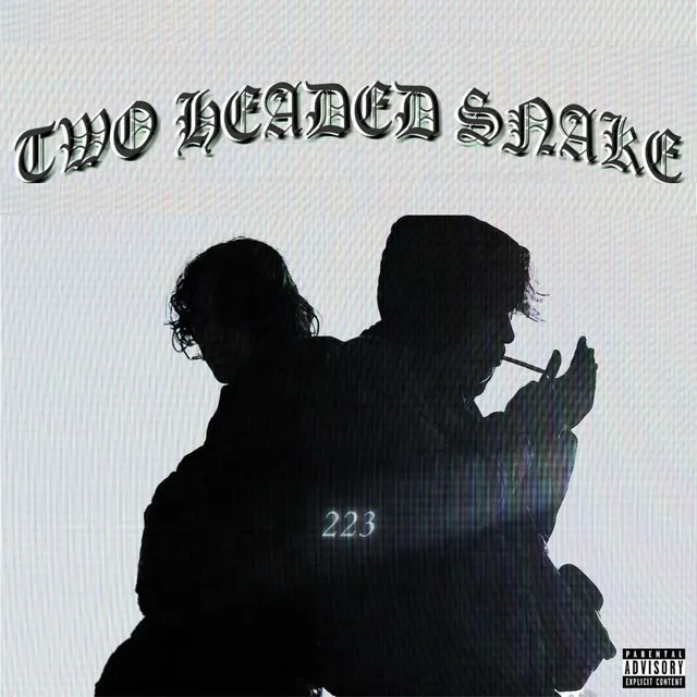 Two Headed Snake