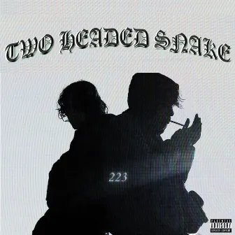 Two Headed Snake by 223