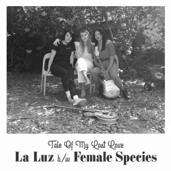 Tale Of My Lost Love by La Luz