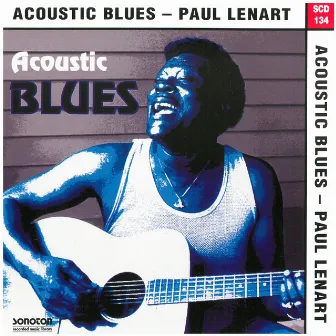 Acoustic Blues by David Maxwell