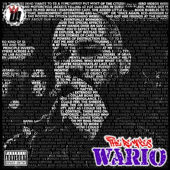 The Remixes 2.0 by Wario