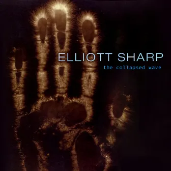 The Collapsed Wave by Elliott Sharp