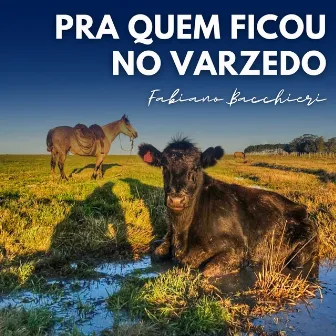 Pra Quem Ficou no Varzedo by Fabiano Bacchieri