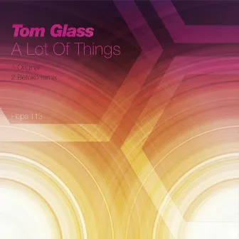 A Lot of Things by Tom Glass