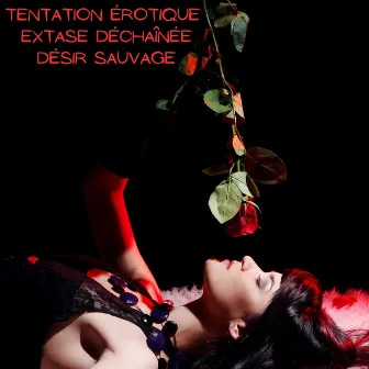 Tentation érotique, extase déchaînée, désir sauvage by Spicy Sex Beats