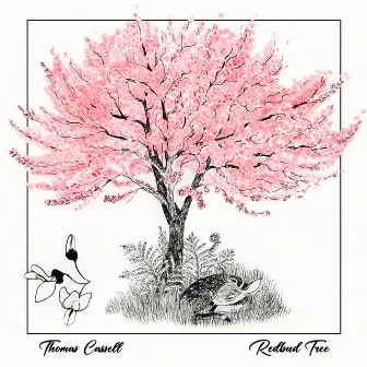 Redbud Tree by Thomas Cassell