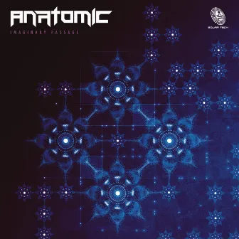 Imaginary Passage by Anatomic