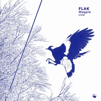 Magpie (Live in Lisbon, 18th October 2021) by Flak