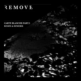 Carte Blanche, Pt. 3: Remix & Rework by Remove