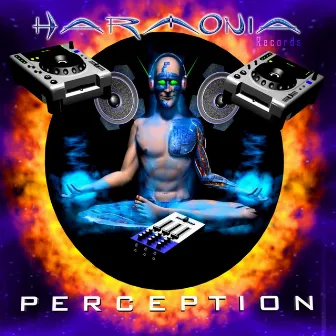 Perception by P.A.N.