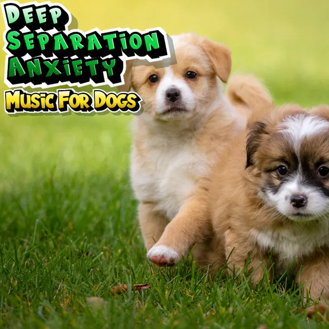 Music for Puppies