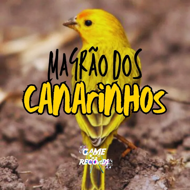 Magrão dos Canarinhos