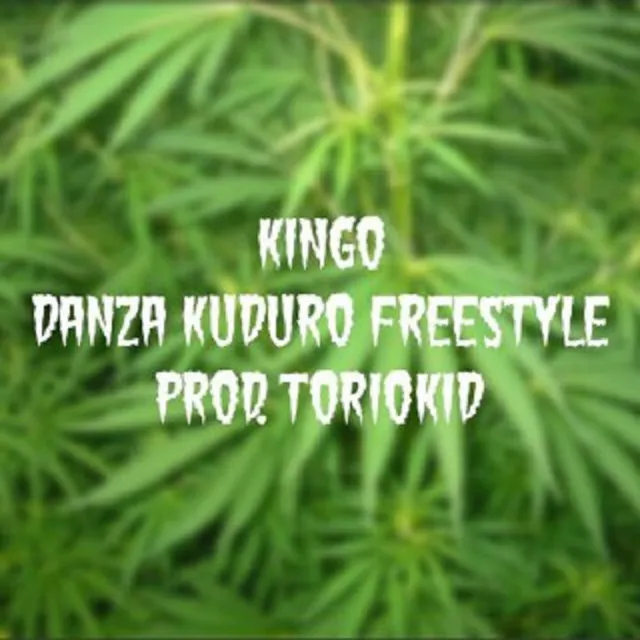 Danza Kuduro Freestyle