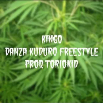 Danza Kuduro Freestyle by Kingo