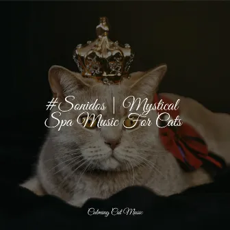 #Sonidos | Mystical Spa Music For Cats by Pet Care Club