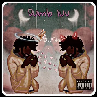 Dumb luv by 2bush