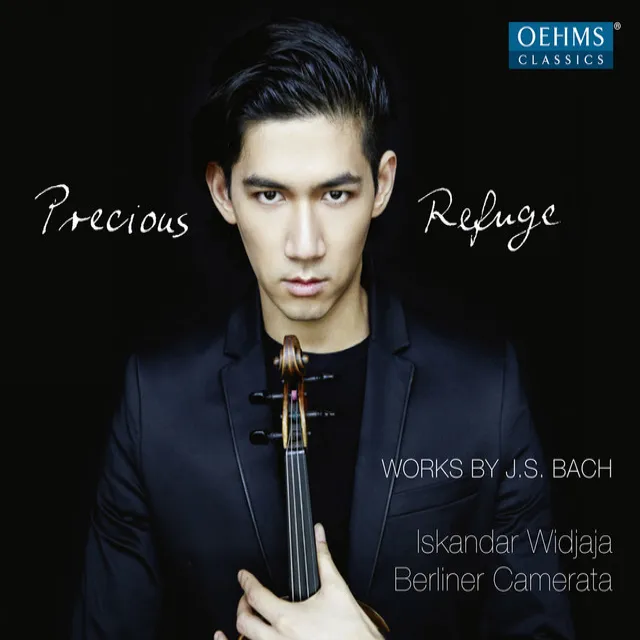 Violin Sonata No. 3 in C Major, BWV 1005: III. Largo