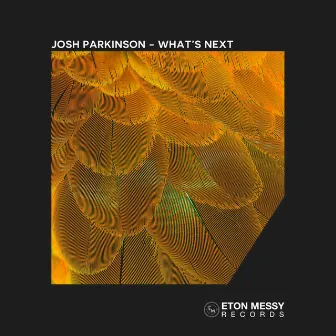 What's Next by Josh Parkinson