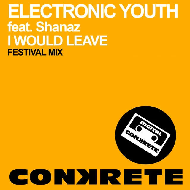 I Would Leave - Festival Mix