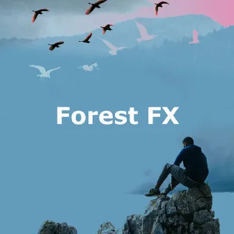 Forest FX by Forest Sounds FX