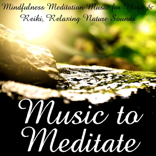 Asian Meditation Music Zone