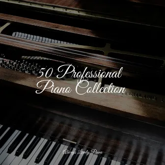 Soft Melodies from Soothing Piano by Piano Pacifico