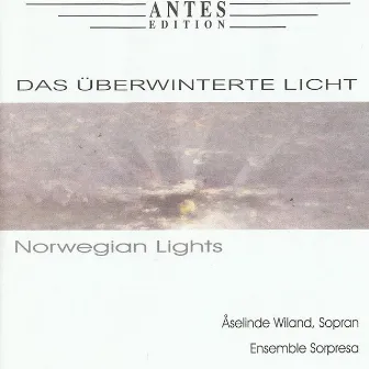 Das überwinterte Licht by Felix Treiber