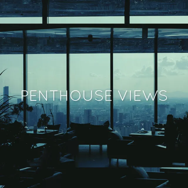 Penthouse Views