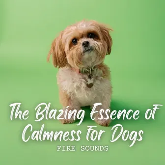 Fire Sounds: The Blazing Essence of Calmness for Dogs by Music for Dogs Playlist