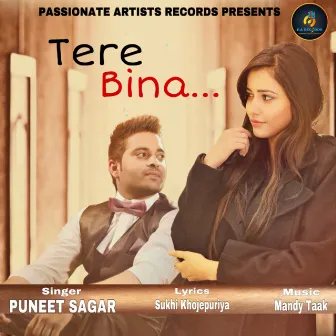 Tere Bina by Puneet Sagar