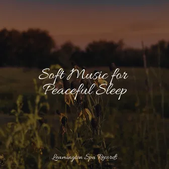 Soft Music for Peaceful Sleep by Crying & Colic Relief