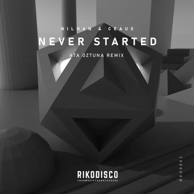 Never Started - Remix