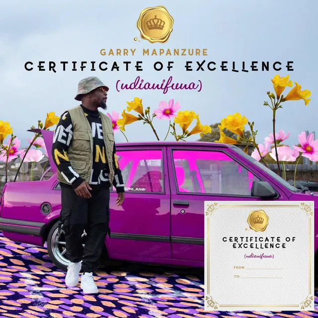 Certificate of Excellence (Ndianifuna)