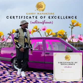 Certificate of Excellence (Ndianifuna) by Garry Mapanzure