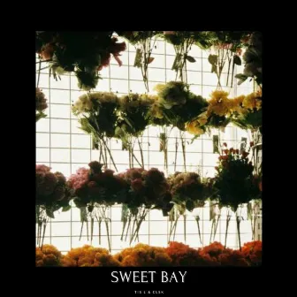 Sweet Bay by CL5K