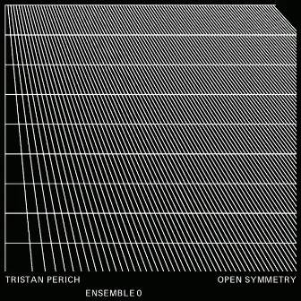 Open Symmetry: Section 4 by Ensemble 0