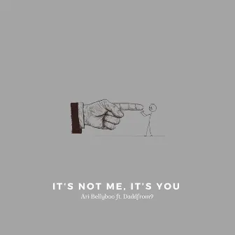 It's Not Me, It's You by Ari Bellyboo