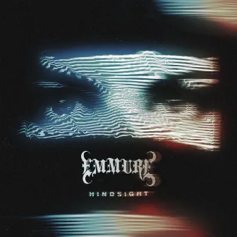 Hindsight by Emmure