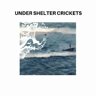 Under shelter Crickets by Bubbly Waves 3D Sounds