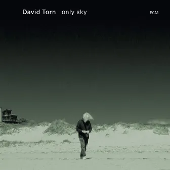 Only Sky by David Torn