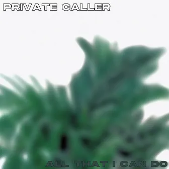 All That I Can Do by Private Caller